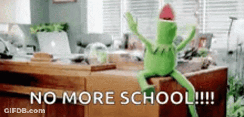 Kermit The Frog No More School GIF