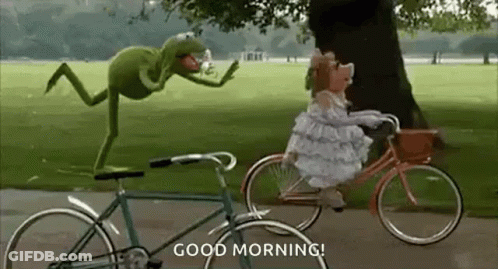 Kermit The Frog On Bicycle GIF