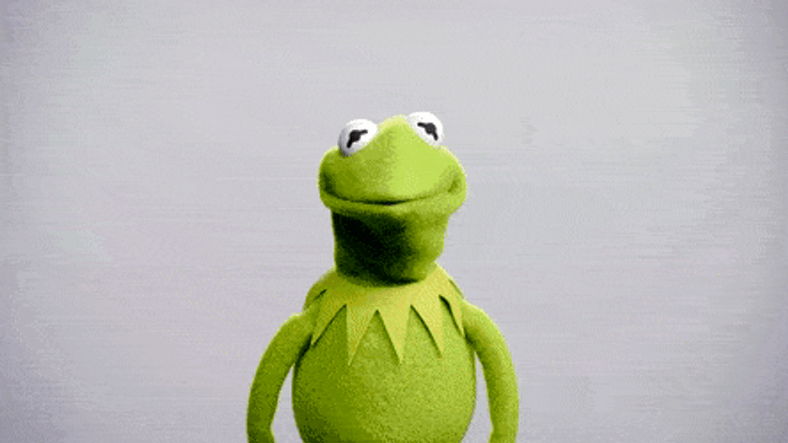 Kermit The Frog On Wednesday Hump Day GIF
