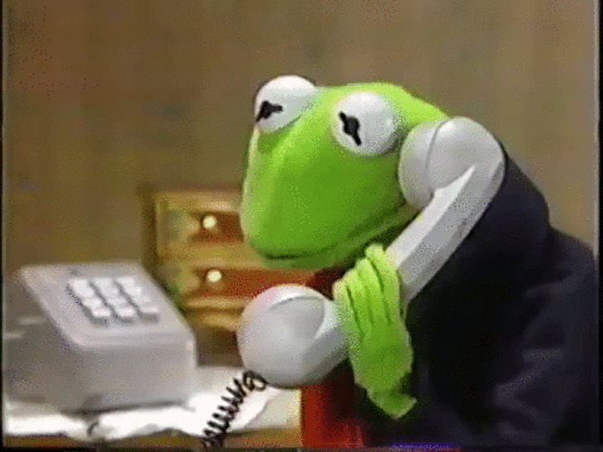 Kermit The Frog Phone Taken Movie GIF