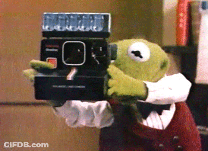 Kermit The Frog Polaroid Shot Meme GIF
