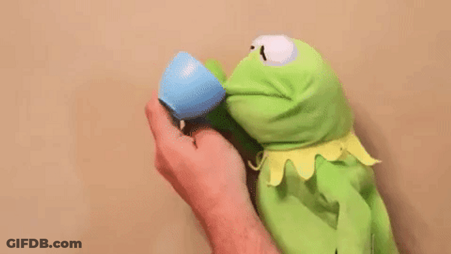 Kermit The Frog Puppet Tea Time Meme GIF