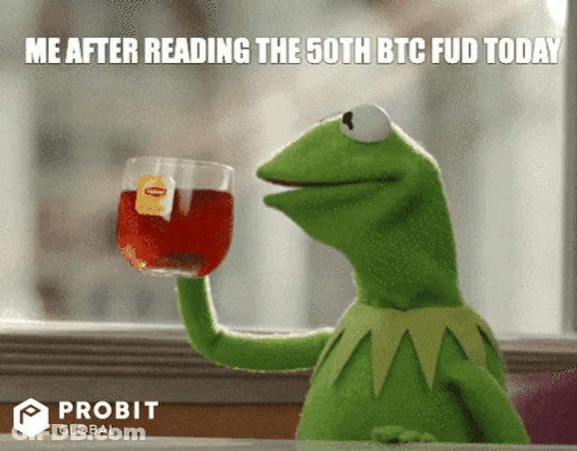 Kermit The Frog Reading BTC Meme GIF