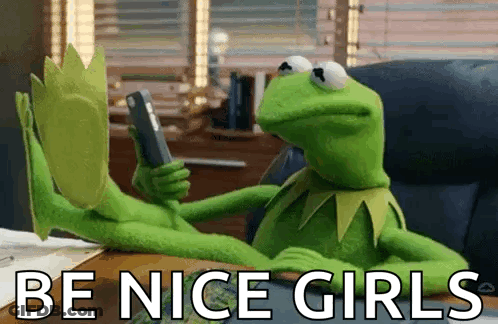 Kermit The Frog Saying Be Nice Girls GIF