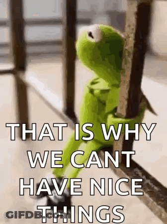 Kermit The Frog Saying We Cant Have Nice Things GIF