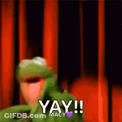 Kermit The Frog Saying Yay Macy GIF