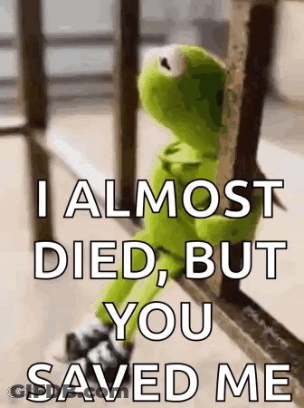 Kermit The Frog Saying You Saved Me GIF