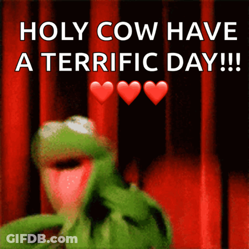 Kermit The Frog Saying Holy Cow Have A Terrific Day GIF