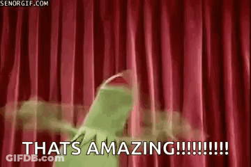 Kermit The Frog Says That's Amazing GIF