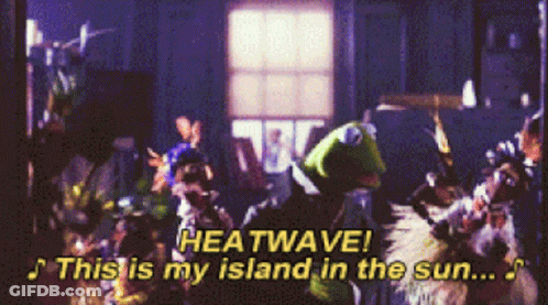 Kermit The Frog Singing " Heatwave This Is My Island In The Sun .. " GIF