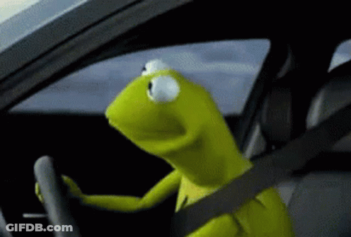Kermit The Frog Sitting In Car With Seat Belt GIF