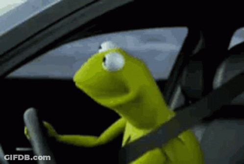 Kermit The Frog Sitting In Car With Seat Belt GIF