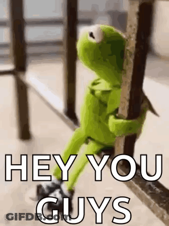 Kermit The Frog Sitting On Railing GIF