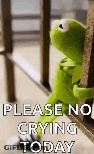 Kermit The Frog Sitting On Railing Please No Crying Today GIF