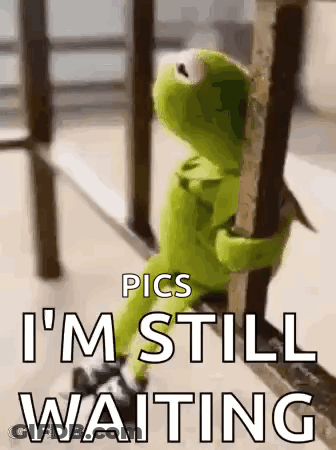 Kermit The Frog Sitting On Railing Saying I'm Still Waiting GIF