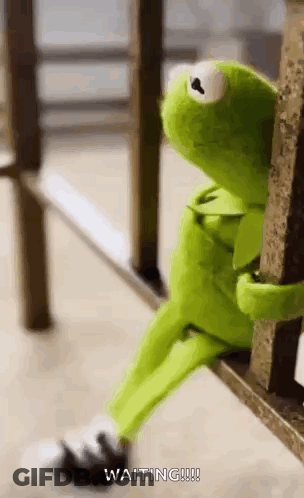 Kermit The Frog Sitting On Railing Waiting GIF