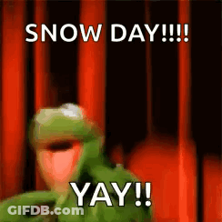 Kermit The Frog Snow Day Yay GIF