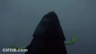 Kermit The Frog Standing Next To Person In Black Hooded Jacket GIF