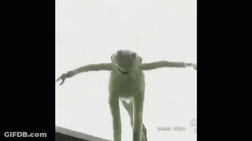 Kermit The Frog Standing With Arms Out GIF