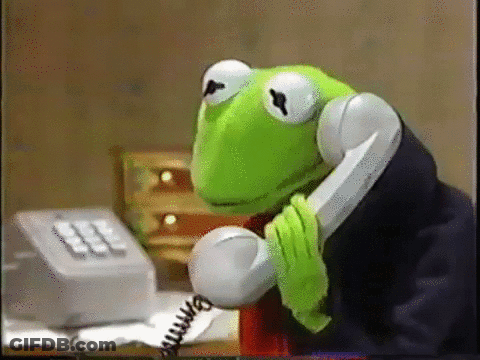 Kermit The Frog Talking On Phone GIF