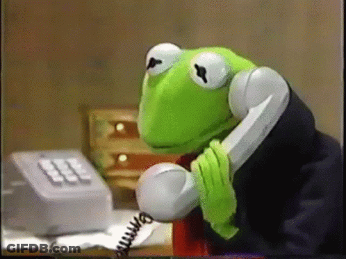 Kermit The Frog Talking On Phone GIF