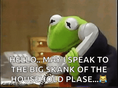 Kermit The Frog Talking On Phone GIF