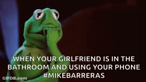 Kermit The Frog Thinking About Girlfriend In Bathroom GIF