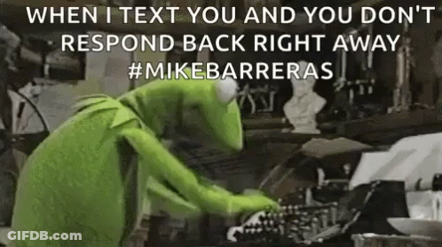 Kermit The Frog Typing On Typewriter GIF