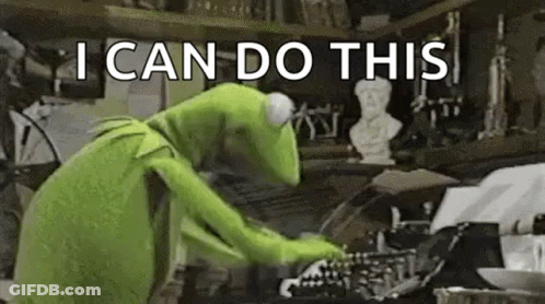 Kermit The Frog Typing Saying I Can Do This GIF