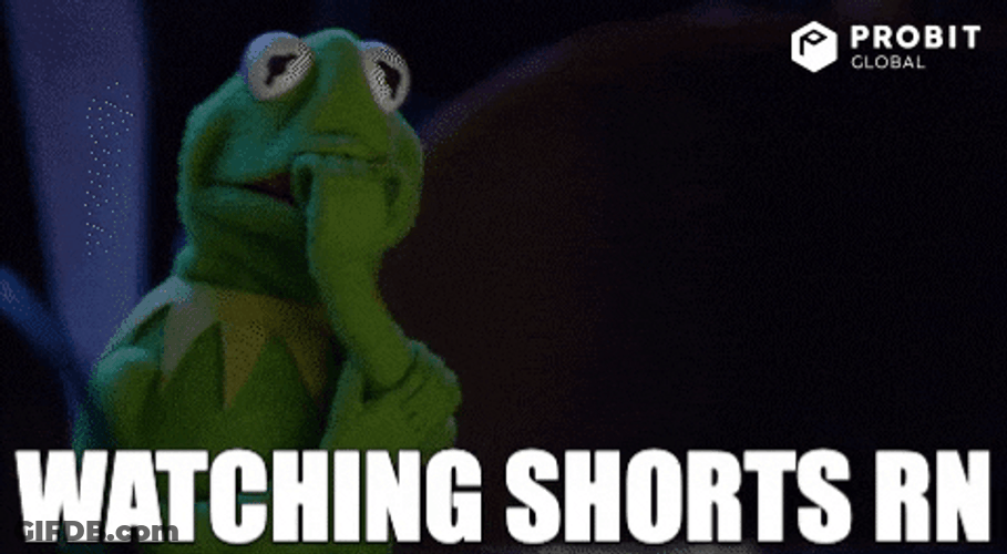 Kermit The Frog Watching Shorts Meme GIF