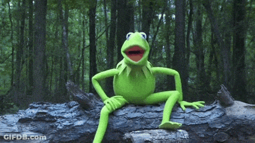 Kermit The Frog Water Doused Meme GIF