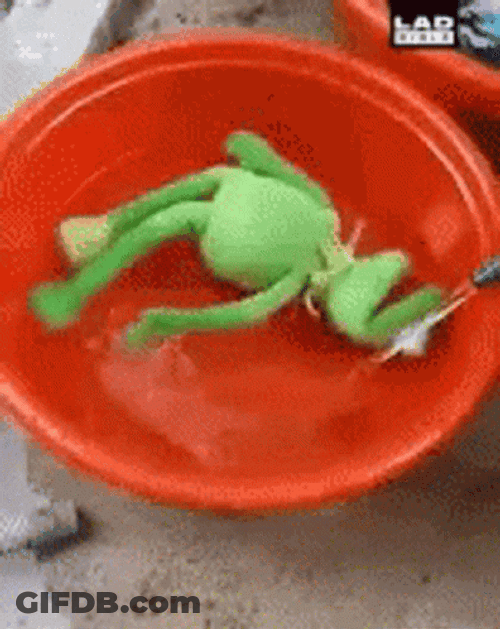 Kermit The Frog Water Pool Spin GIF
