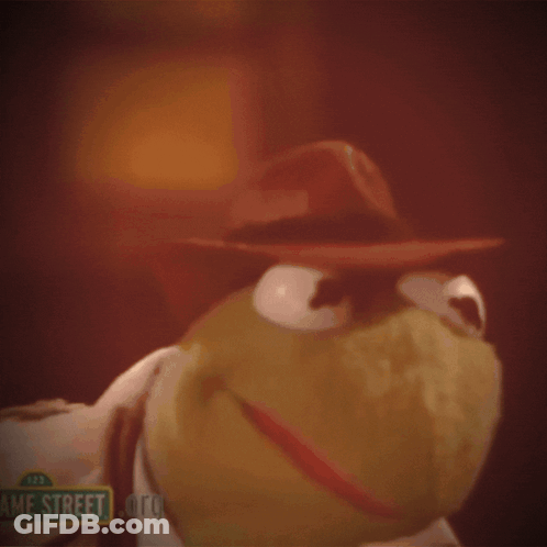 Kermit The Frog Wearing Hat Sesame Street GIF