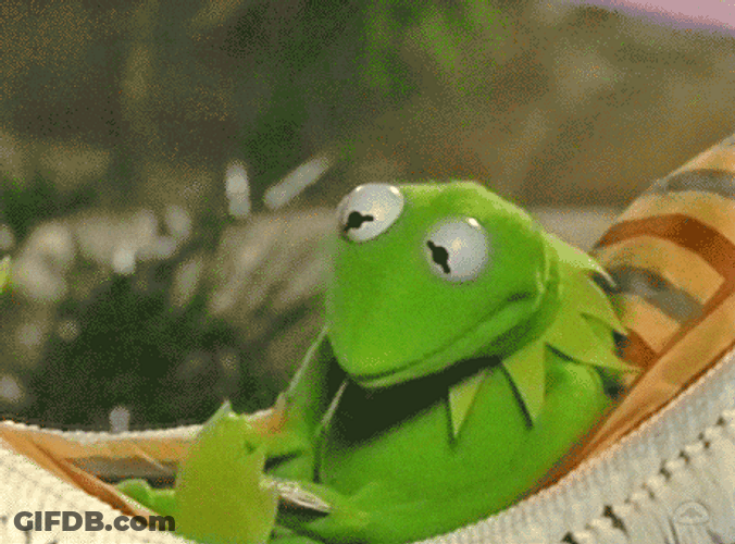 Kermit The Frog Writing Journal Meme GIF