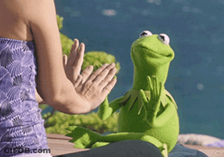 Kermit The Frog Yoga Meditation Meme GIF