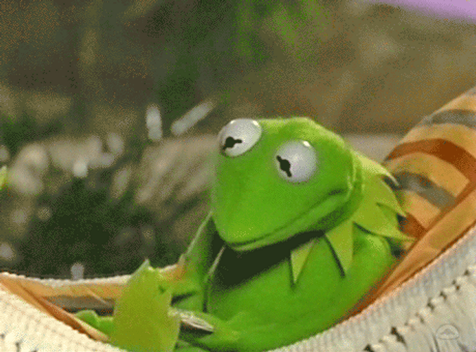 Kermit Writing On The Beach GIF