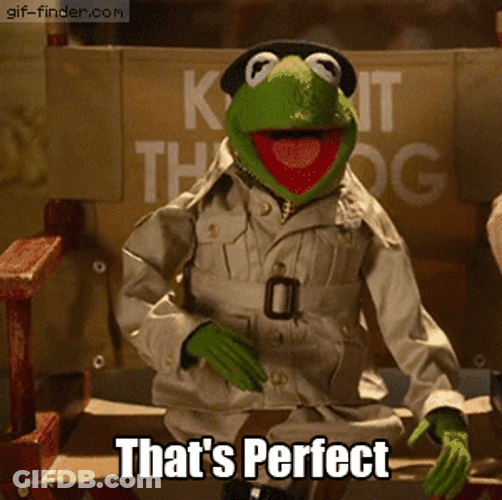 Kermit Yay That's Perfect GIF