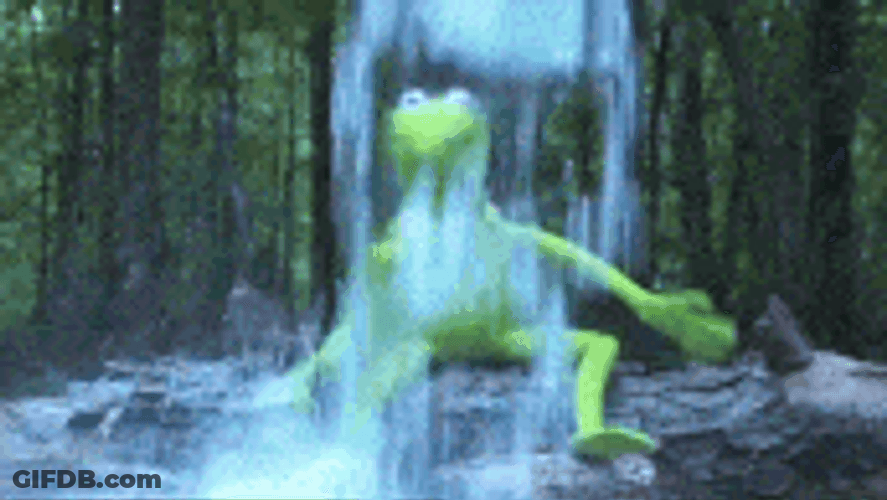 Kermit Yay Water Drop GIF