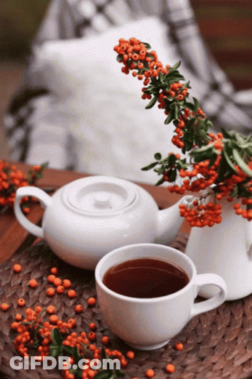 Kettle Animation  Red Cup GIF