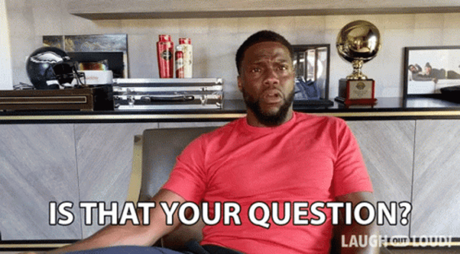 Kevin Hart Is That Your Question GIF