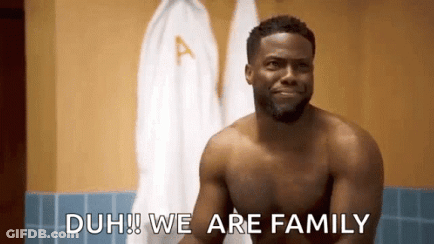Kevin Hart We Are Family GIF