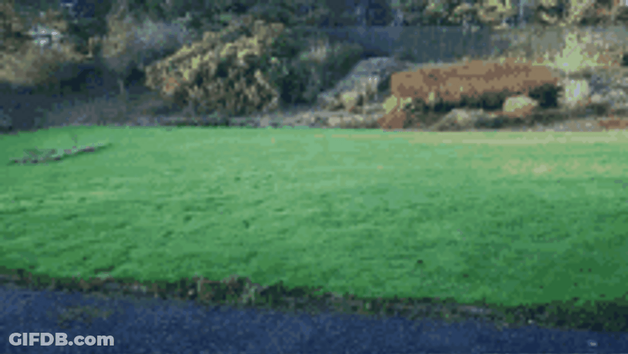 Kevin Kicking The Baby Doll GIF