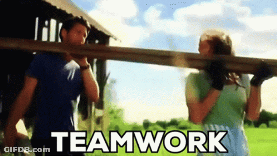 Kevin McGarry Team Work In Carrying Wood GIF
