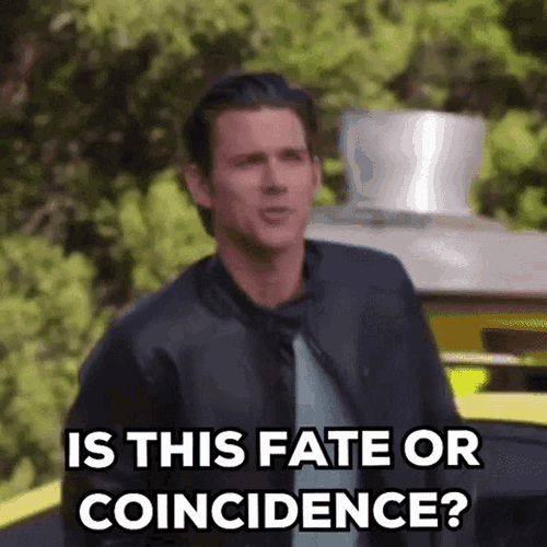 Kevinmcgarry Weddingveil GIF