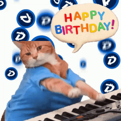 Keyboard Birthday Cat Performance GIF