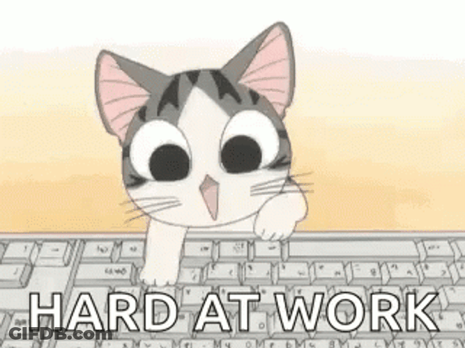 Keyboard Cat Hard At Work GIF