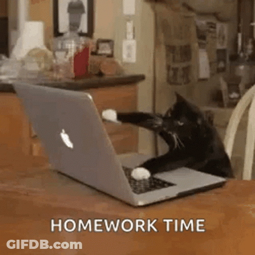 Keyboard Cat Homework Time GIF