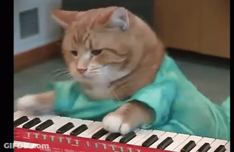 Keyboard Cat Playing Cute GIF