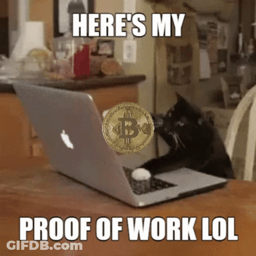 Keyboard Cat Proof Of Work GIF