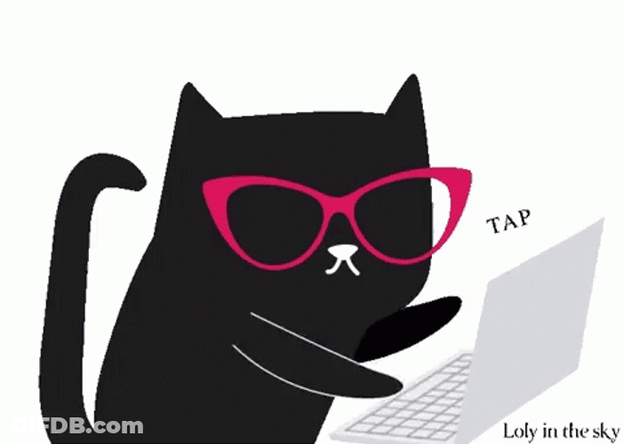 Keyboard Cat Tapping Loly GIF